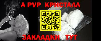 эйфоретик Кингисепп
