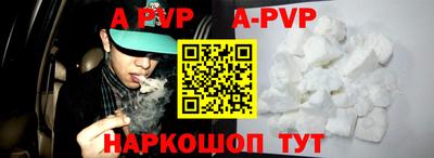 эйфоретик Кингисепп