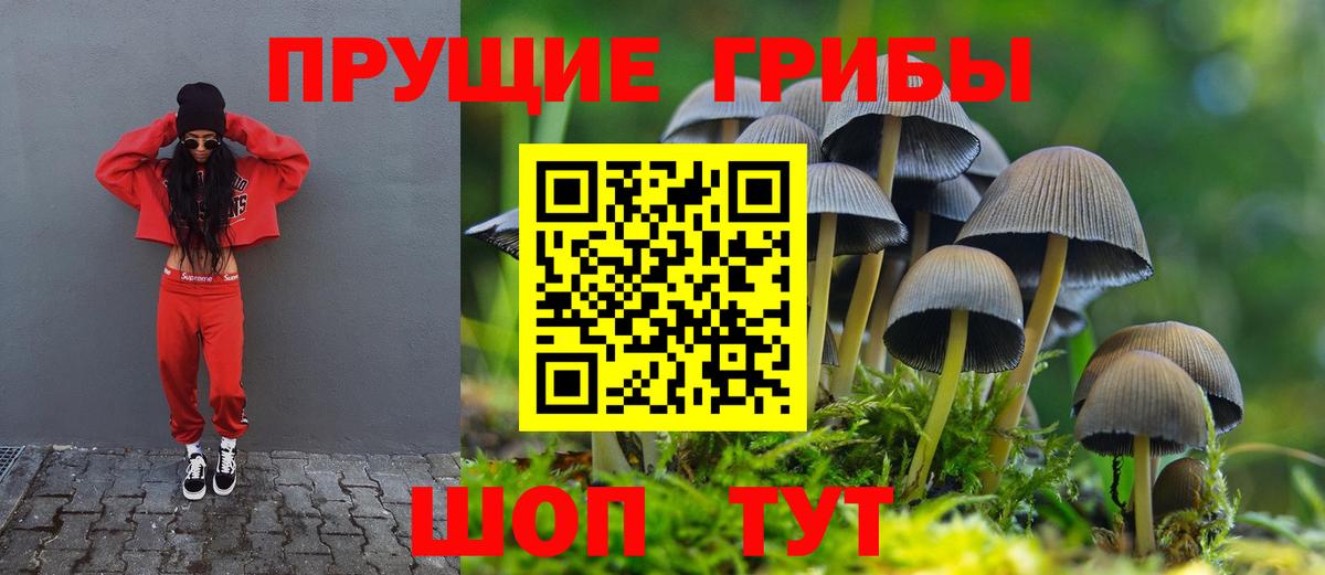 Псилоцибиновые грибы Cubensis  Вход с VPN  купить наркотик  Верхняя Пышма 